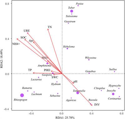 Ectomycorrhizal Fungi Associated With Pinus sylvestris var. mongolica Were Altered by Soil Environments With Aging Plantation in a Semi-arid Desert